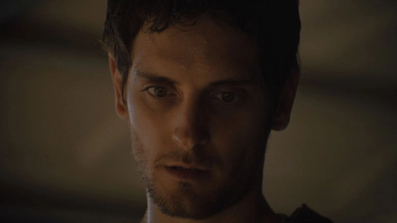 Good Condition (2023)