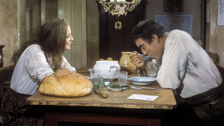 The 25th Hour (1967)