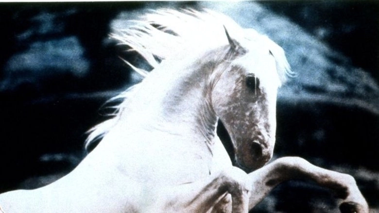 Silver Stallion (1941)
