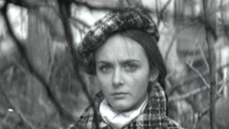 No One In Your Place (1977)