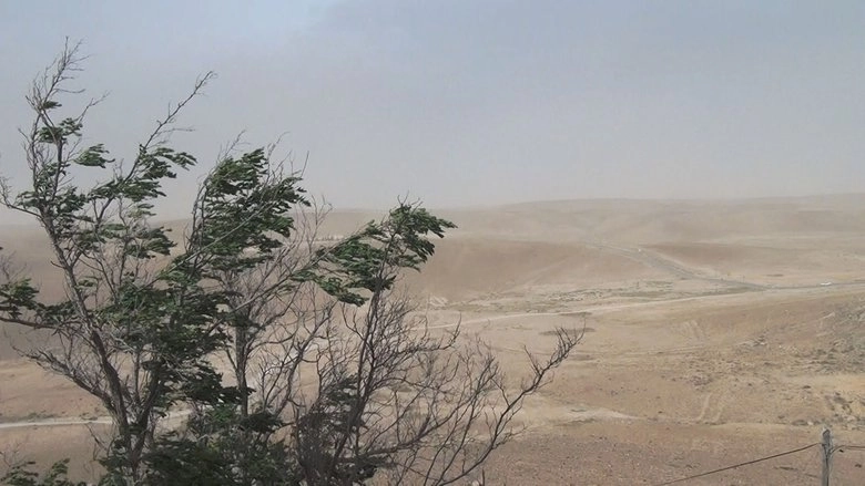 No Home Movie (2016)