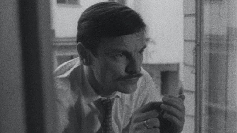 The Three Andreis (1966)