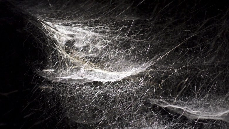 Kingdom Of Shadows (1998)