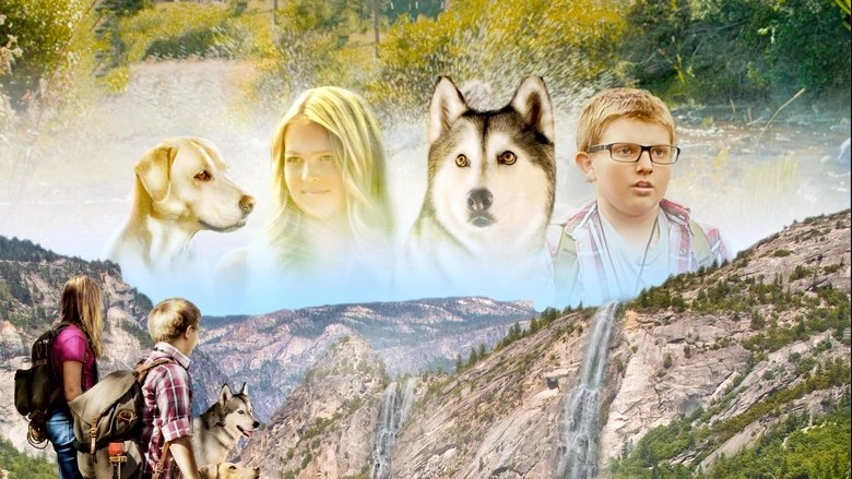 Timber The Treasure Dog (2016)