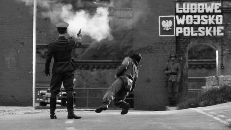 Poznan 56 (1996)