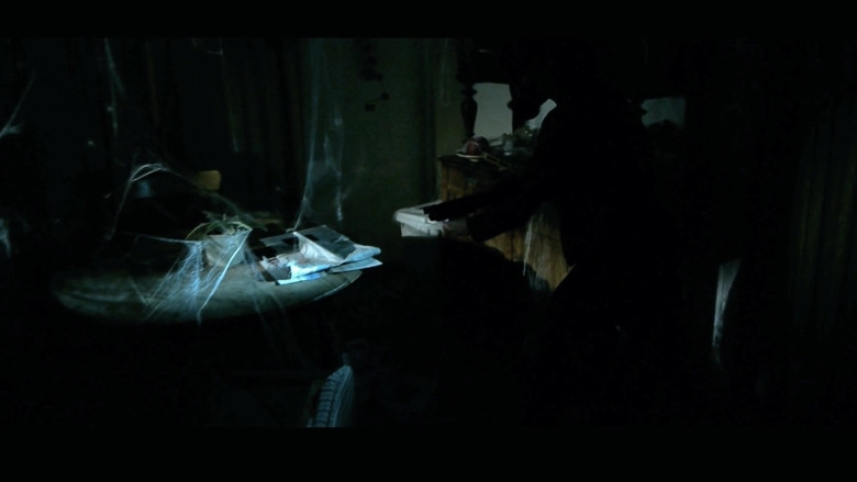 Meddler (2011)