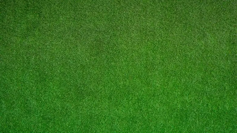The Mulligan's Island Invitational (2024)