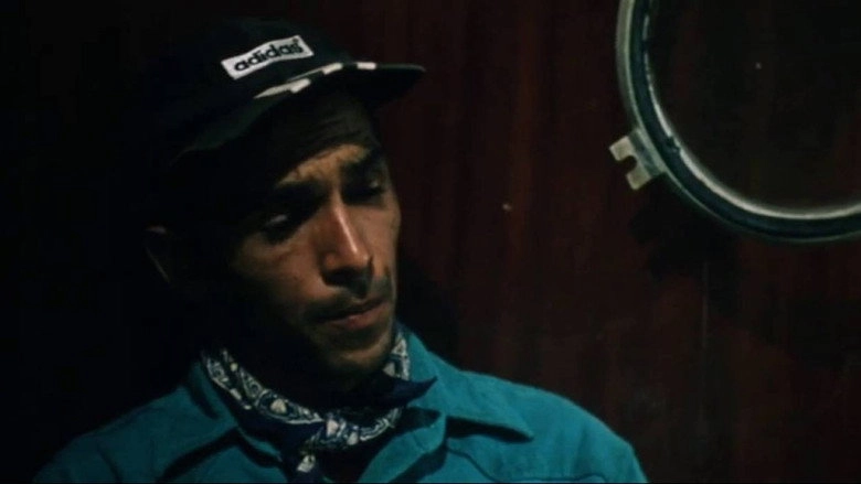 Tornando A Casa (2001)