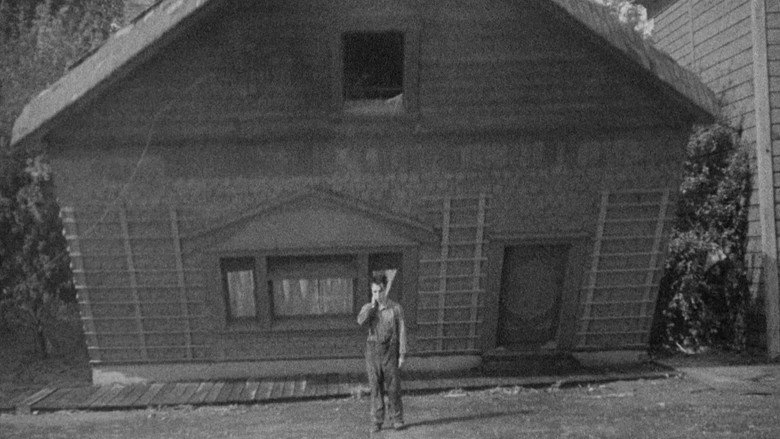 Steamboat Bill, Jr. (1928)