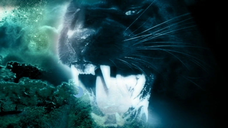 Night Creature (1978)