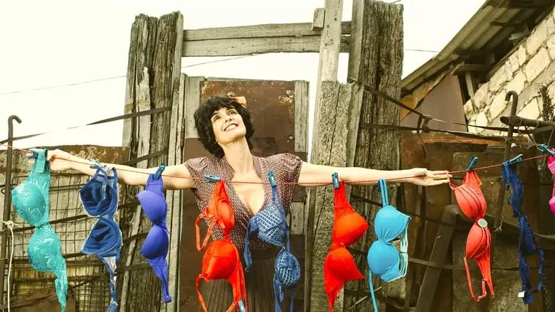 The Bra (2019)
