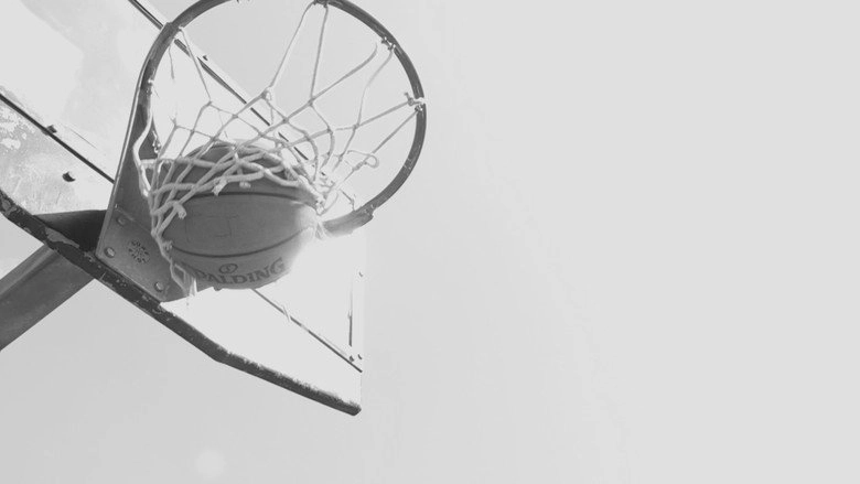 5th QTR (2023)
