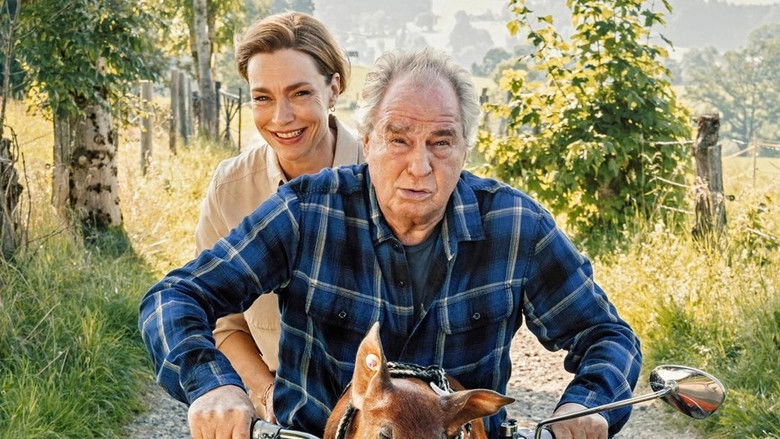 Zimmer Mit Stall - Schwein Gehabt (2021)