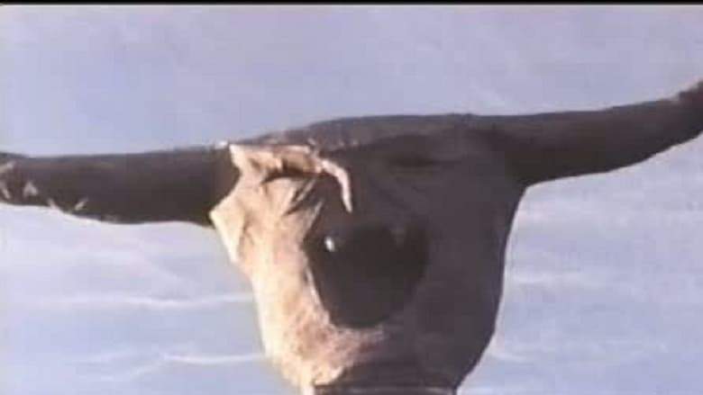 The Final Sacrifice (1990)
