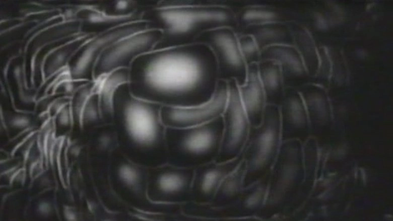 The Way Of All Flesh (1997)