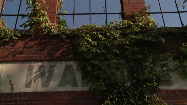 The Curse And The Jubilee (2018)