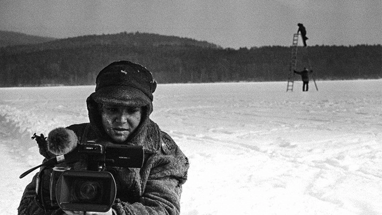 11 Colours Of The Bird (2020)