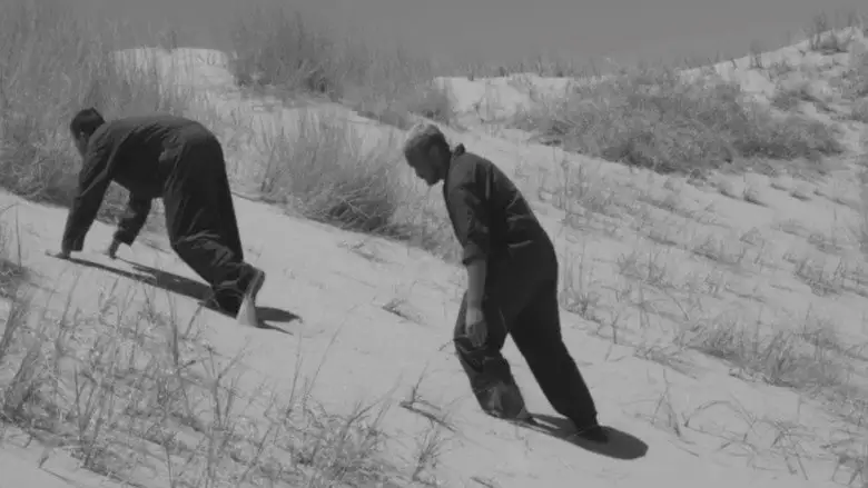 Beachworld (2015)