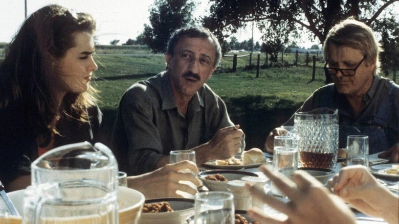 An American Love (1994)