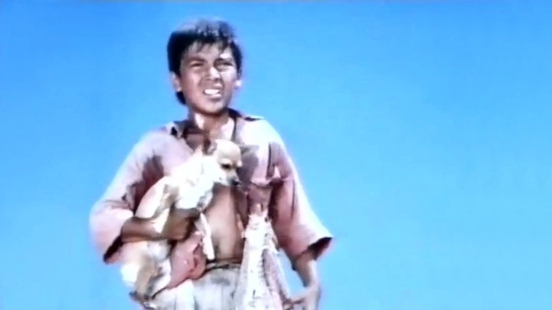 Pablo And The Dancing Chihuahua: Part 1 (1968)