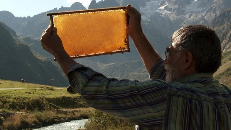 The Beekeeper (2013)