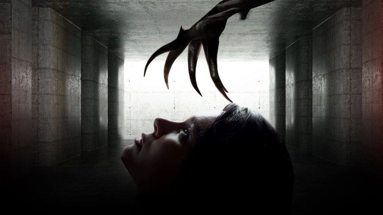 Bring Me A Dream (2020)