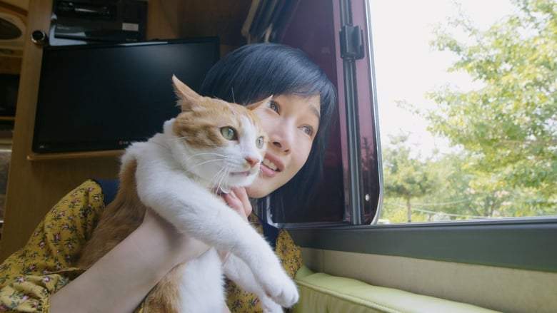 The Journey Of The 12 Cats (2019)