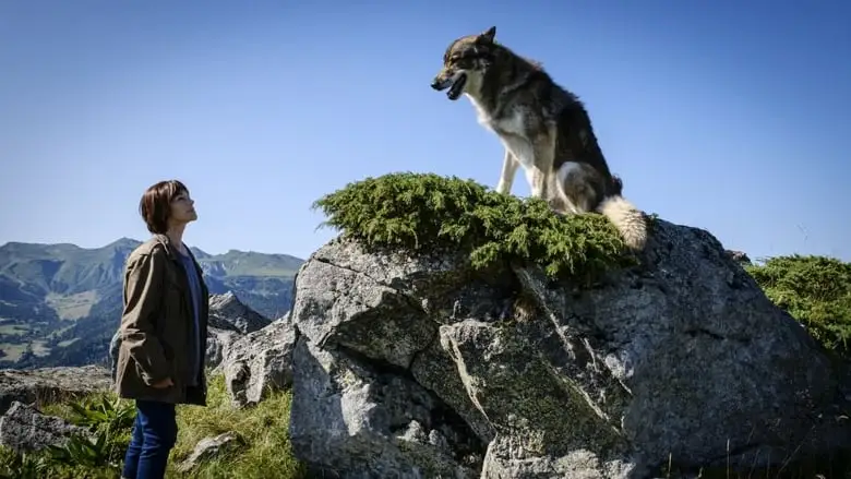 Mort D'un Berger (2024)