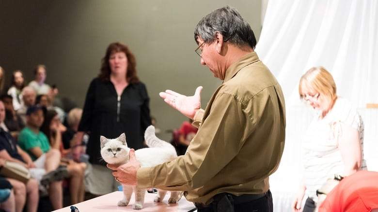 Catwalk: Tales From The Catshow Circuit (2018)