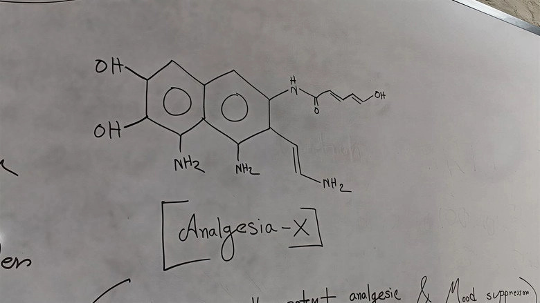 Analgesia-X (2026)