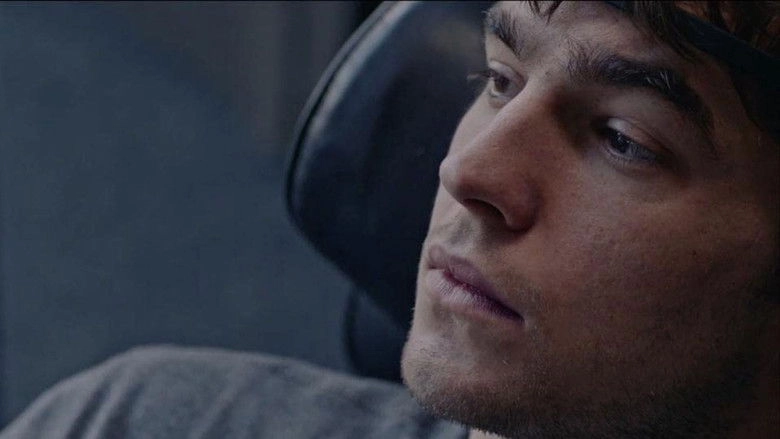 Redisplacement (2020)