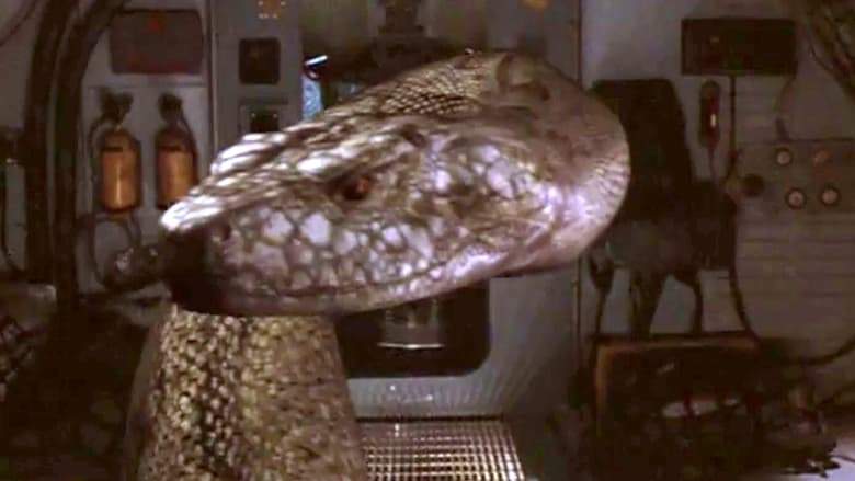 Boa (2002)