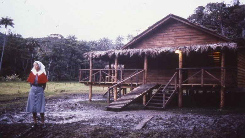 An Indecent Obsession (1985)