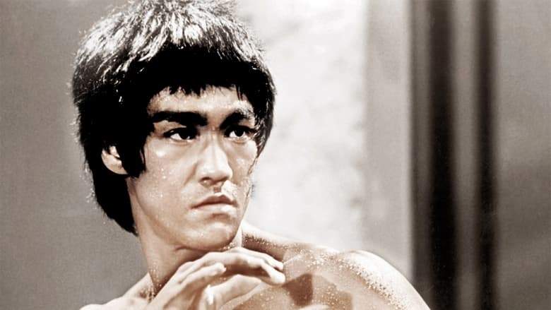 How Bruce Lee Changed The World (2009)
