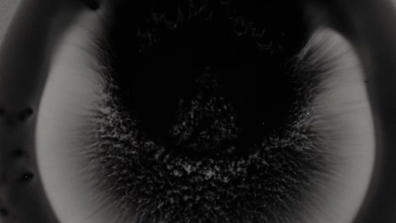 I Wonder If I'm Singing What You're Thinking Me To Sing (2025)