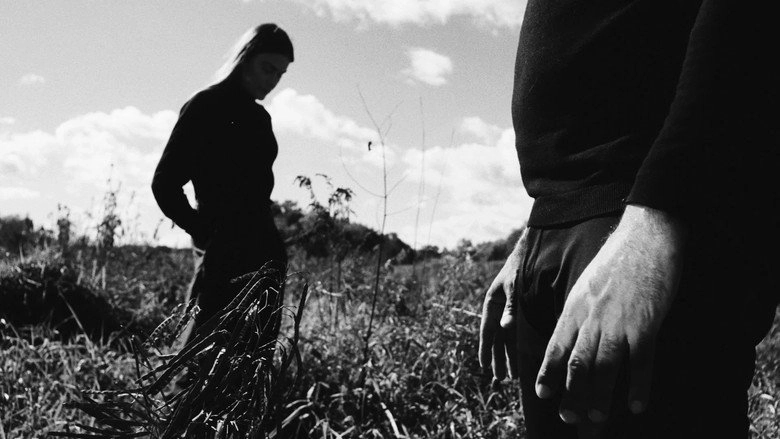 The Meadow (2022)