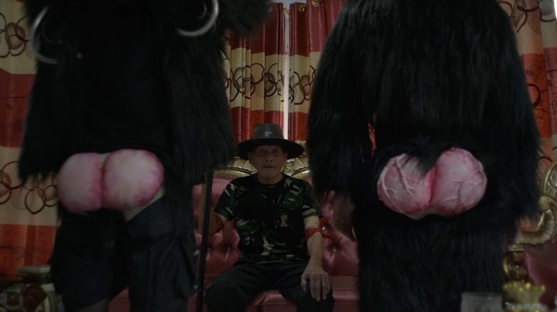 Primate Visions; Macaque Macabre (2025)