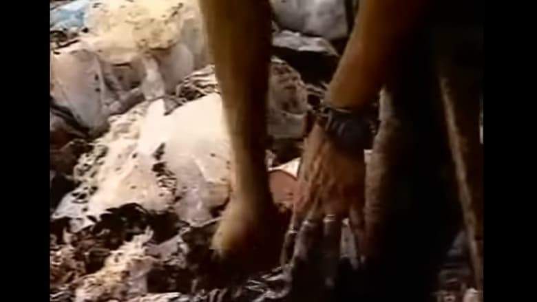 Boca De Lixo (1993)