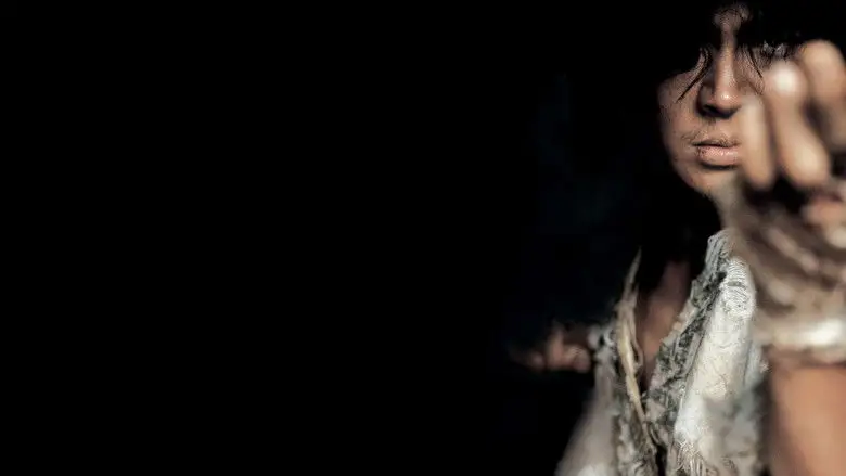 Fighter In The Wind (2004)