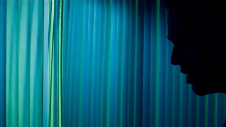 Analog (2017)