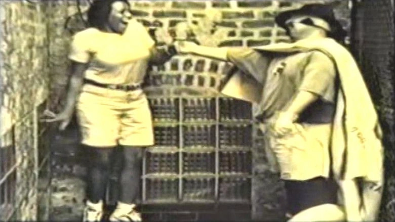 The Rainbow Avenger (1998)