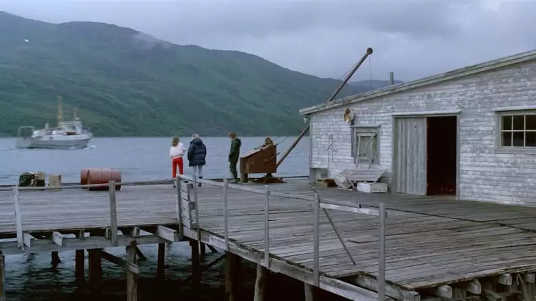 Aret Gjennom Borfjord (1991)