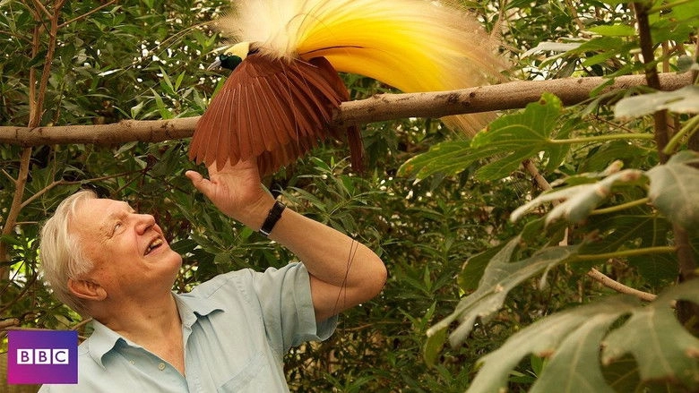 Birds Of Paradise (2010)