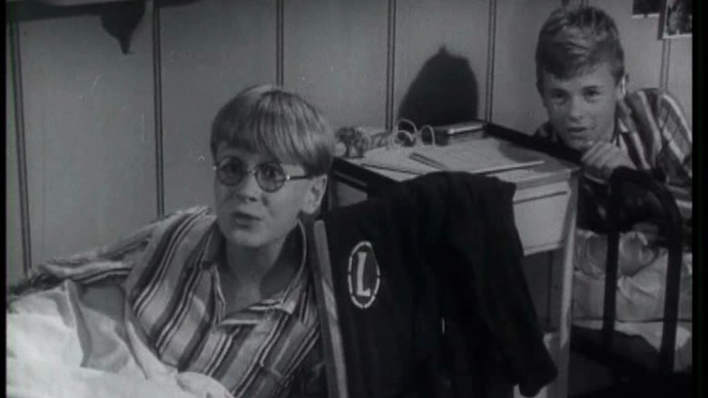 Stompa, Selvfolgelig! (1963)