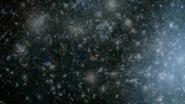 Endless Cinema (2017)