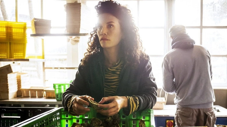 Murder In Arcachon (2019)