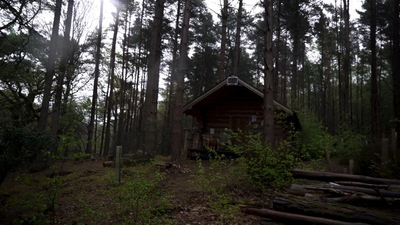 Disturbance (2024)