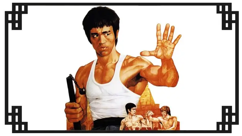 The Way Of The Dragon (1972)