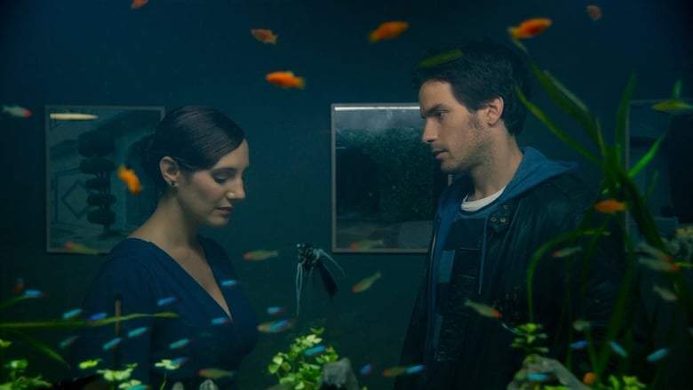 The Life Of Fish (2010)