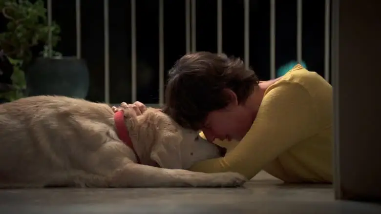 Clinging (2023)